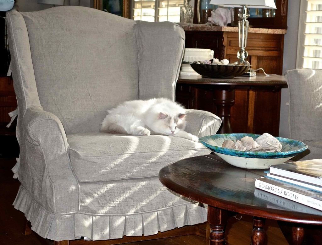 This precious cotton ball of a kitty snoozes contented and serene on a Chinese Chippendale wing chair sorting a flirty box pleated skirt.  She approves!  The ultimate compliment!